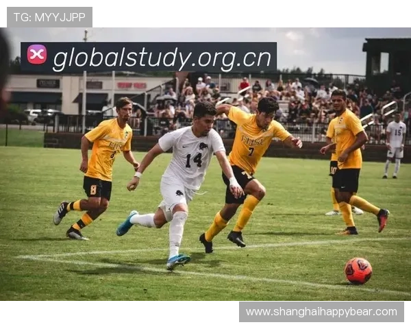 ✅体育直播🏆世界杯直播🏀NBA直播⚽- 香港海关破市值1.3亿港元贩运大麻花毒品案件- sports