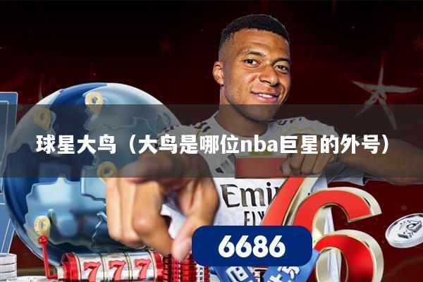 球星大鸟(大鸟是哪位nba巨星的外号)